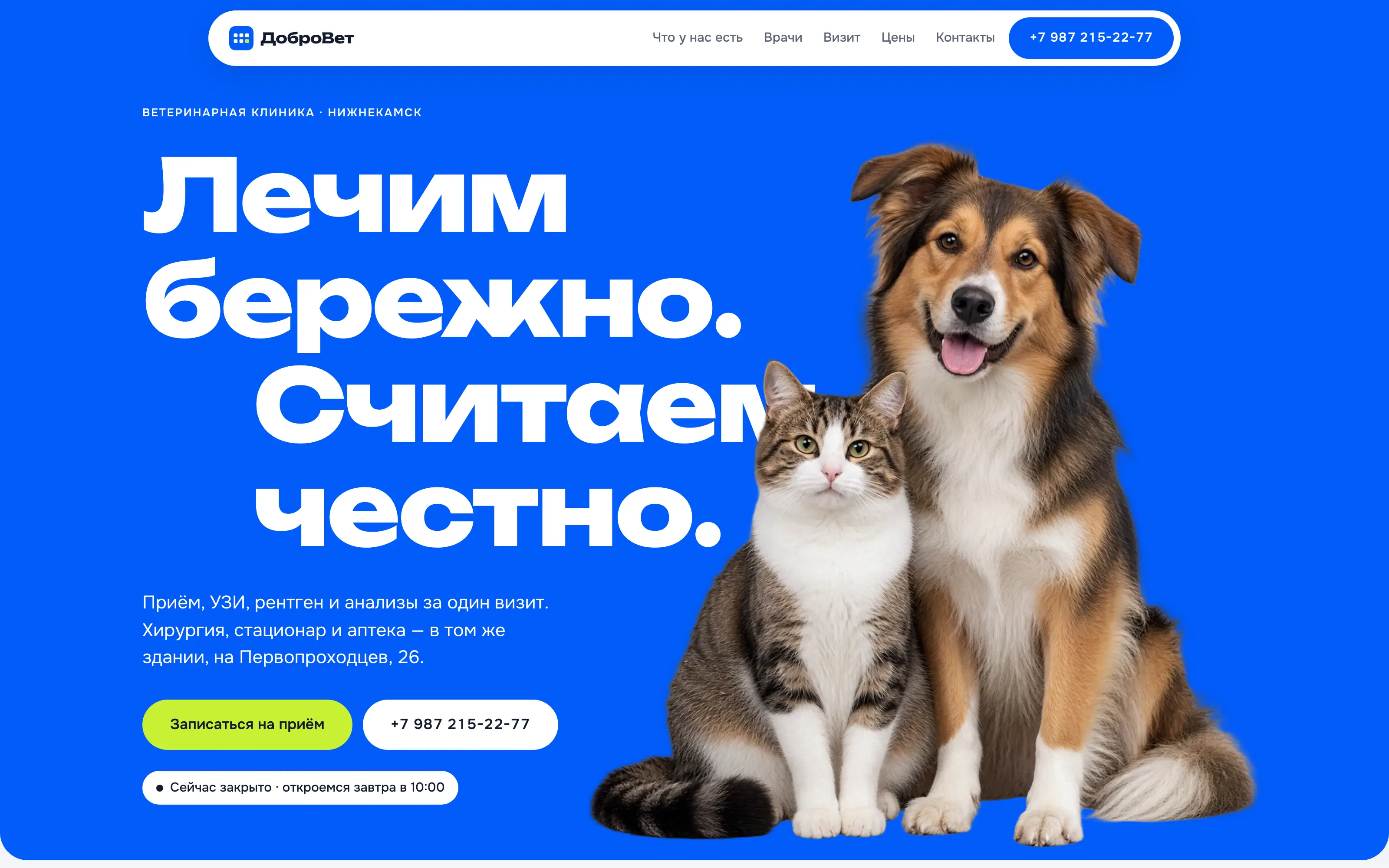 Сайт ветеринарной клиники в Нижнекамске — главная страница